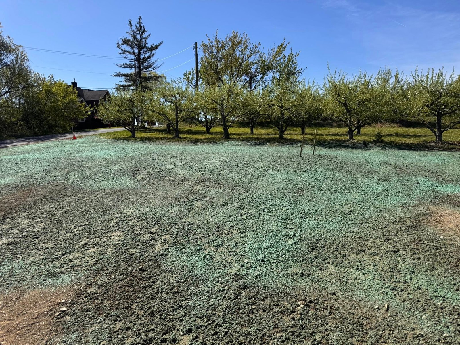 Hydroseeding Lawn Service Orange County ny